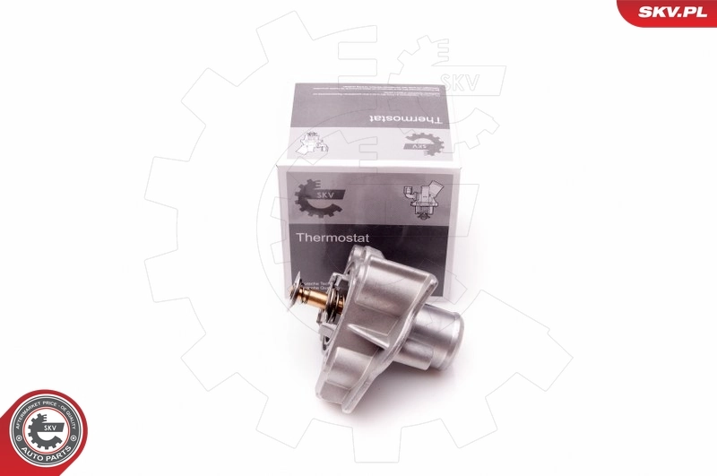 Thermostat, coolant